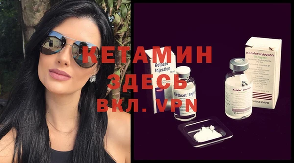 гидра Покачи