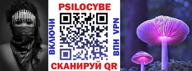 Галлюциногенные грибы Psilocybe  Тарко-Сале 