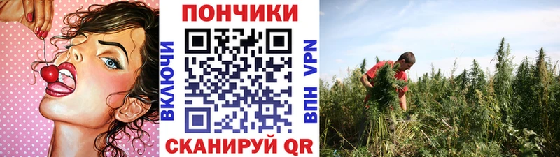 KRAKEN зеркало  Тарко-Сале  Канабис сатива 